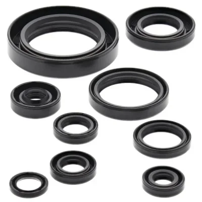 Komplet uszczelniaczy silnika Winderosa Honda CR 250 02-04 (822177) Komplet uszczelniaczy silnika Winderosa Honda CR 250 02-04 (822177)