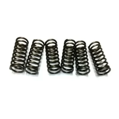 Sprężyny sprzęgła JR EBS Kawasaki KXF 450 06-14 KLX 450R 08-12 (EBS121) Sprężyny sprzęgła JR EBS Kawasaki KXF 450 06-14 KLX 450R 08-12 (EBS121)