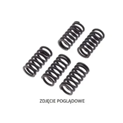 Kpl. Sprężyn Sprzęgłowych Kpl. Sprężyn Sprzęgłowych