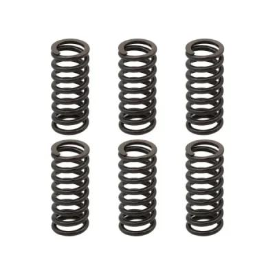 Sprężyny sprzęgła Psychic KTM EXC Racing EXC-F SX EBS094 - MX-03744A Sprężyny sprzęgła Psychic KTM EXC Racing EXC-F SX EBS094 - MX-03744A