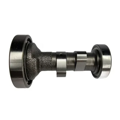 Wałek rozrządu Hot Cams Honda XR 50 00-03 (E1028) Wałek rozrządu Hot Cams Honda XR 50 00-03 (E1028)