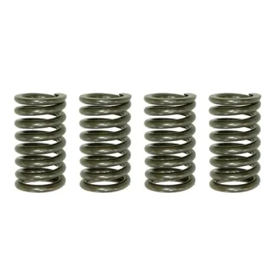 Sprężyny sprzęgła Psychic Honda CR 250 Kawasaki KX EBS041 - MX-03528A