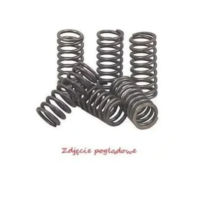 Sprężyny sprzęgła napędowego Bronco AT-03373A (EBS033)