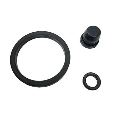 Zestaw naprawczy zacisku hamulcowego Betamotor 50/125/240/260 (12894-PI)