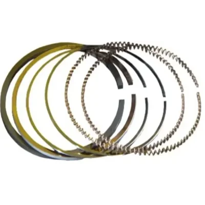 Pierścienie tłokowe ProX komplet XR 400 R 96-04 TRX 400 EX X 99-14 (02.1495.050) Pierścienie tłokowe ProX komplet XR 400 R 96-04 TRX 400 EX X 99-14 (02.1495.050)