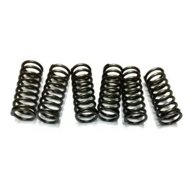Sprężyny sprzęgła JR EBS KTM SX EXC 125 98-05 SX 150 08-13 SX 200 06-07 EXC 200 97-12 (EBS024) Sprężyny sprzęgła JR EBS KTM SX EXC 125 98-05 SX 150 08-13 SX 200 06-07 EXC 200 97-12 (EBS024)