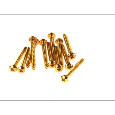 V PARTS (VICMA) ZESTAW ŚRUB OWIEWKI M5X50 (12SZT.) ZŁOTY (RC550OR) V PARTS (VICMA) ZESTAW ŚRUB OWIEWKI M5X50 (12SZT.) ZŁOTY (RC550OR)