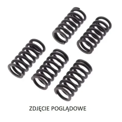 Sprężyny sprzęgła TRW Lucas MEF 304-5 (MEF304-5)
