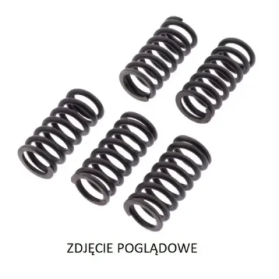 Sprężyny sprzęgła TRW Lucas MEF 303-6 (MEF303-6)