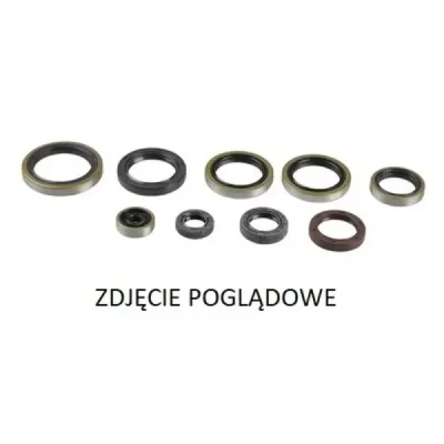Zestaw uszczelniaczy silnikowych Gas Gas/Husqvarna/KTM 250/300 Psychic Zestaw uszczelniaczy silnikowych Gas Gas/Husqvarna/KTM 250/300 Psychic