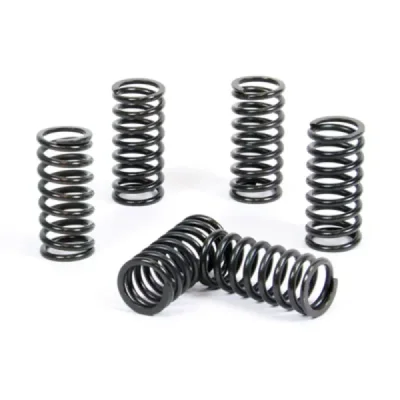 Sprężyny sprzęgła ProX Kawasaki KX 500 87-04 (17.CS44018)