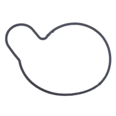 Uszczelka pompy wody Athena O-Ring (S410510024021) Uszczelka pompy wody Athena O-Ring (S410510024021)
