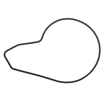 Uszczelka pompy wody Athena O-Ring (S410250024026) Uszczelka pompy wody Athena O-Ring (S410250024026)