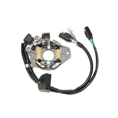Stator iskrownik, stojan alternatora, uzwojenie alternatora, Electrosport ESC1060 Stator iskrownik, stojan alternatora, uzwojenie alternatora, Electrosport ESC1060